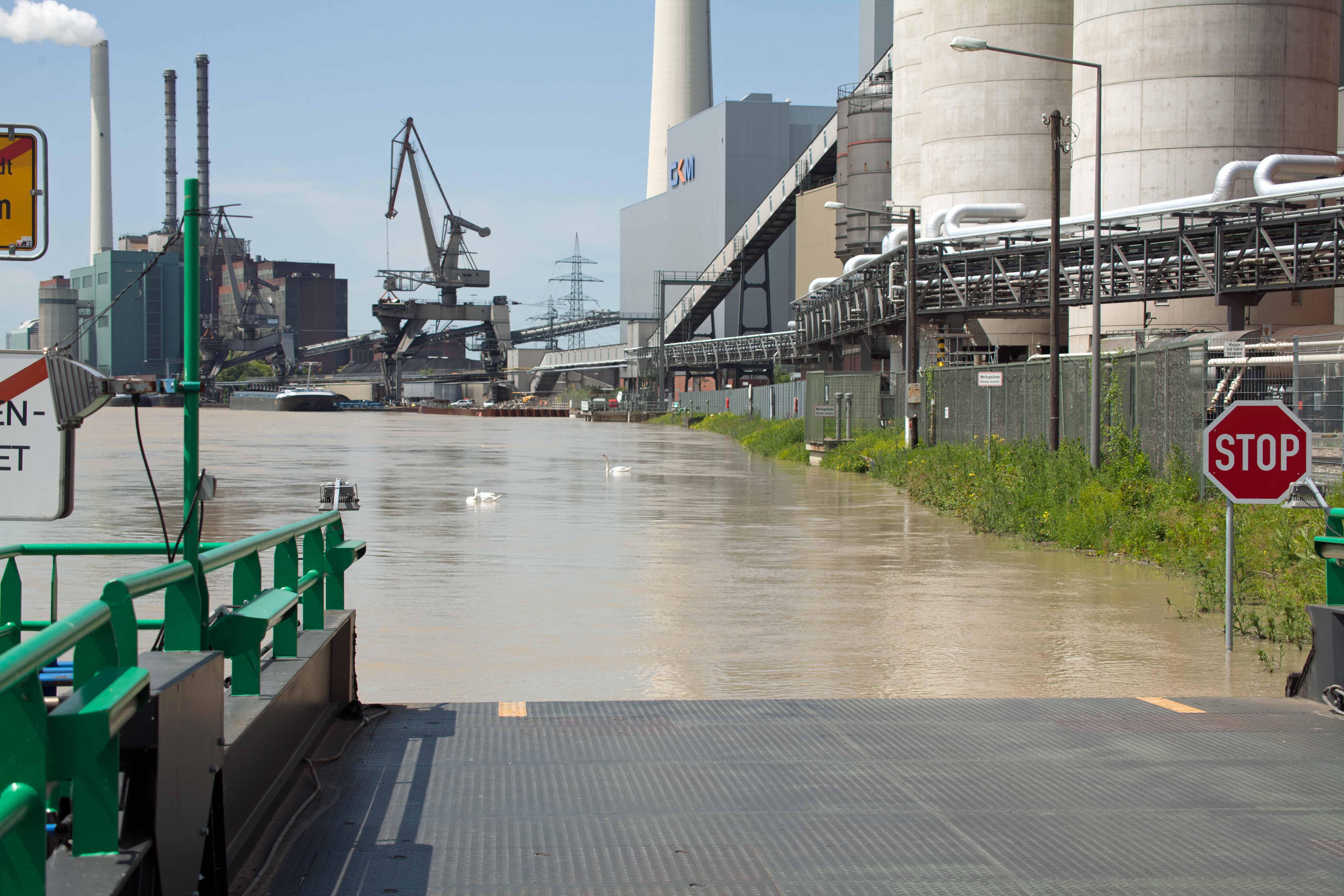 Die Rheinfähre Altrip – Mannheim stellt wegen dem Hochwasser den Fährbetrieb vorübergehend ein.